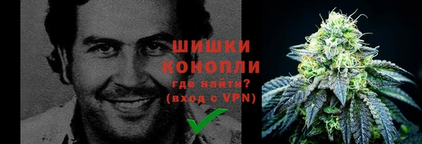 молекула духа Нягань