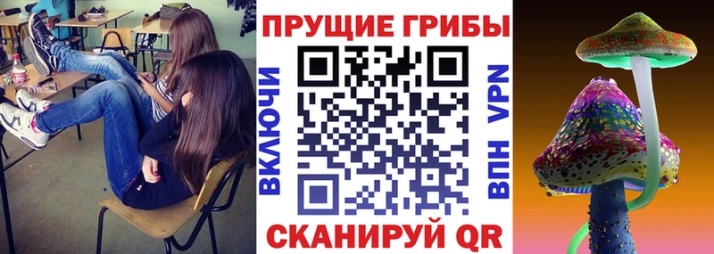 Галлюциногенные грибы прущие грибы Купить Галич